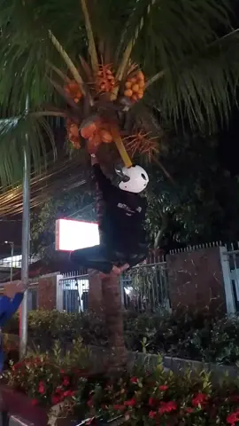 persib konvoi core 💙💙 #persib #persibjuara #persibbacktobackjuara #persibcore #konvoipersib #konvoicore #rika #like #fypシ゚ #soundviral #videoviral 