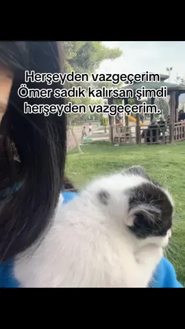 Anladım Hersey sendin. #kesfett #kesfetteyiz #fyp #kesfetbeniöneçıkartt #Ö #ömer 
