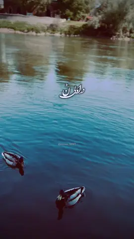 در اولین نگاه تو 👀🤭