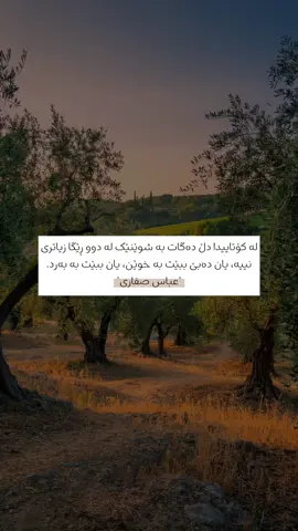 لە کۆتاییدا دڵ دەگات بە شوێنێک لە دوو ڕێگا زیاتری نییە، یان دەبێ ببێت بە خوێن، یان ببێت بە بەرد. 