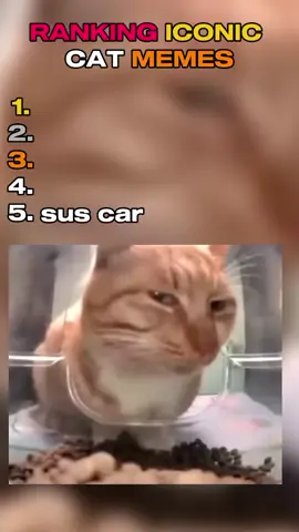 Top 5 cat memes #funnycats, #catnames, #caturday, #petnames, #catsoftiktok#creatorsearchinsights #foryou #ranking #funnny #viral #TikTokTrends #fyp #memes 