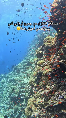#ثروة #بحر #غوص #غوص_ف_أعماق_البحر #divingchallenge #diving #dive #تحدي #تحديات_تيك_توك #ترند #اكسبلور #explore #الشعب_الصيني_ماله_حل😂😂 