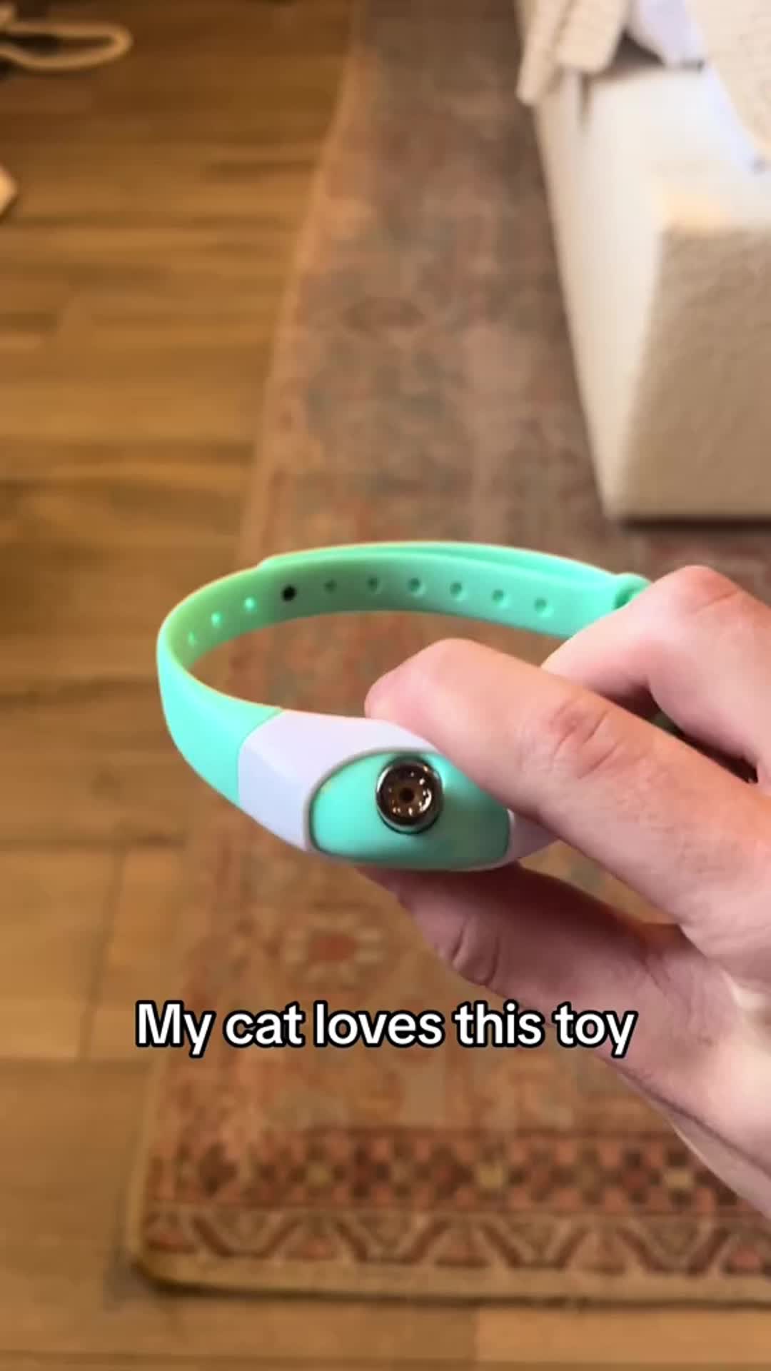 Your cat is feeling sad lately! We have got just the right product to keep your feline active.