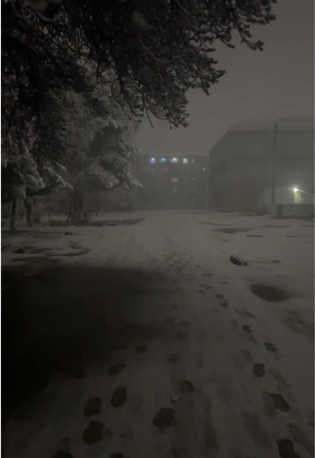 ❄️🌨️                           #зима#снегопад #атмосфера#снег#шп#vibe#vibes#atmosphere#ночь#fup#fupシ 