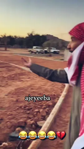 أبو عجيب ####
