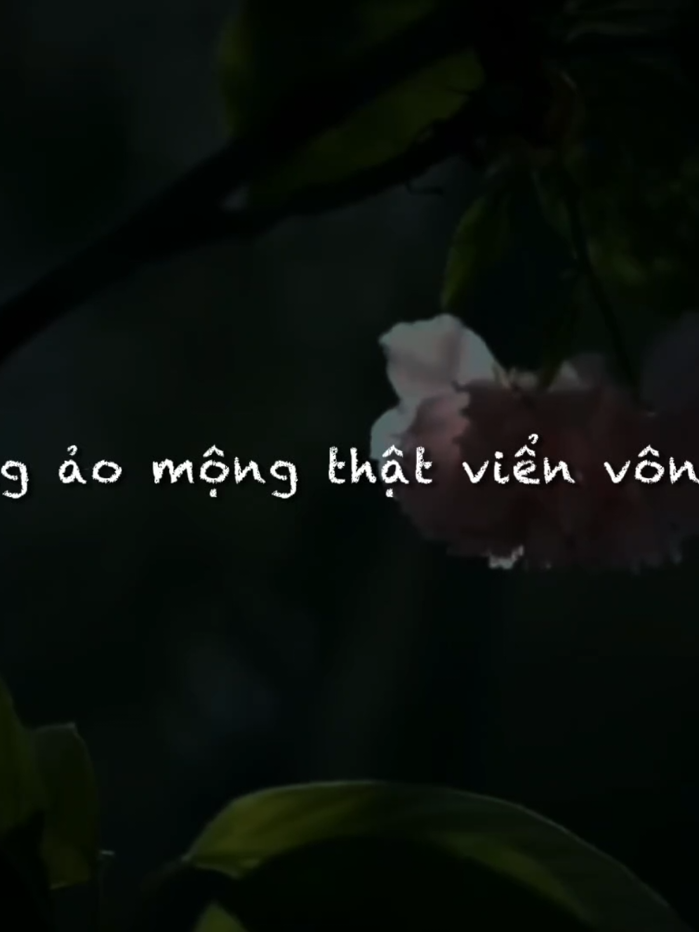 Có trái tim màu hồng và có chú chim đang bay vòng vòng những ảo mộng thật viển vông🌷...
