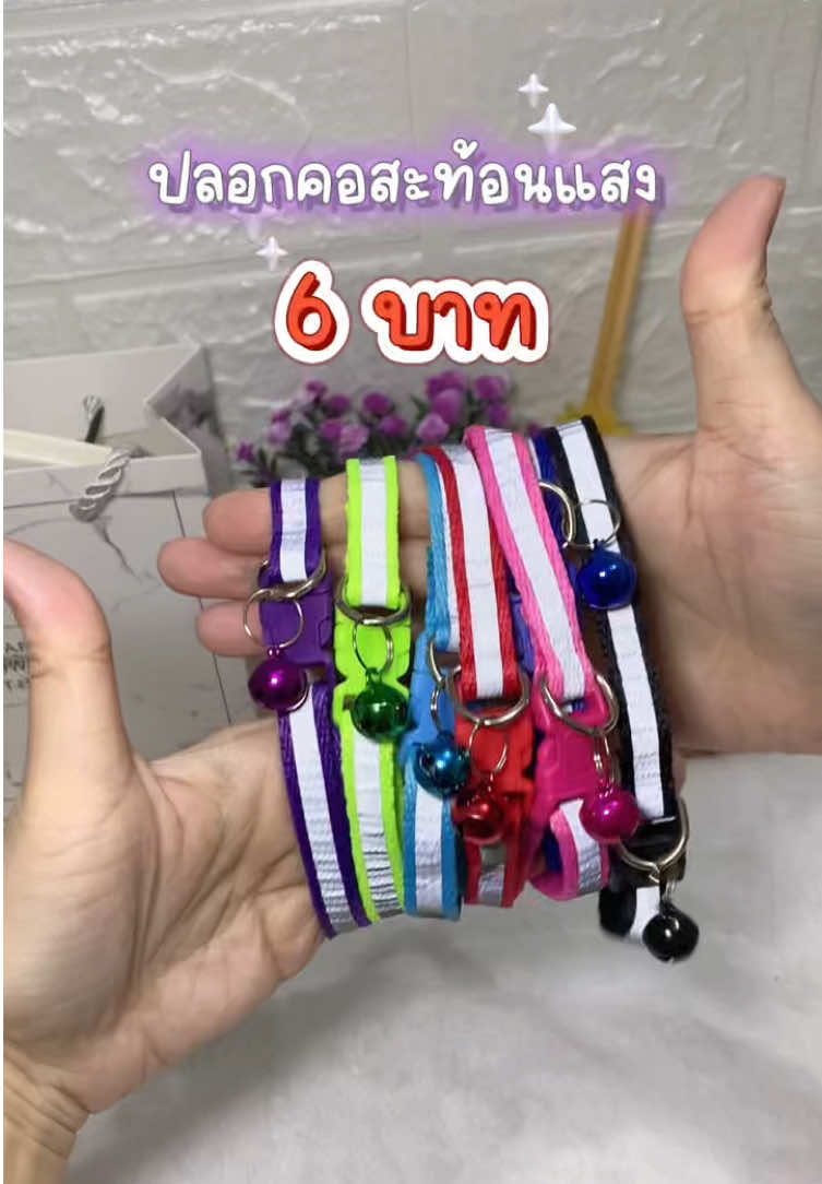 ปลอกคอสะท้อนแสง สีสันสดใส ราคาดีมาก #ปลอกคอแมว #ปลอกคอสัตว์เลี้ยง #ปลอกคอหมา #ทาสแมว #สวนสัตว์tiktok 