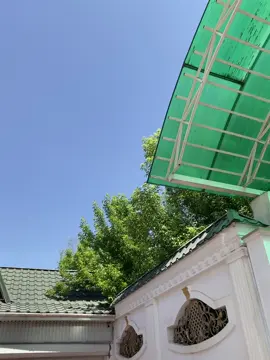 ❗️Японский Лайнер❗️