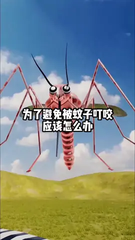 为了避免被蚊子叮咬，应该怎么办？#涨知识 