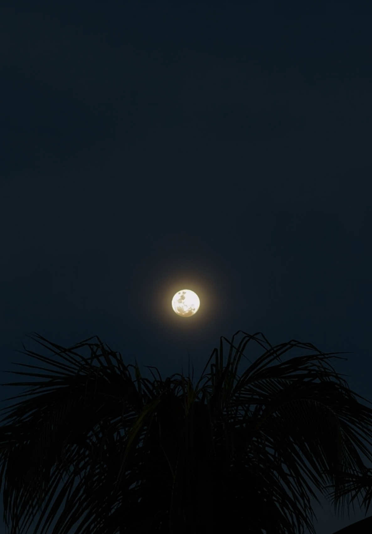 somebody’s plessure #somebodypleasure #bulan #fyp
