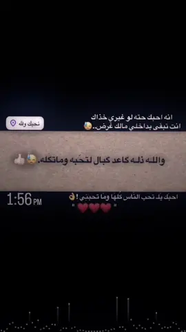 #مولي #عبارات #5 #فيديو_ستار #تصميم_فيديوهات🎶🎤🎬 #fpy #foryou 