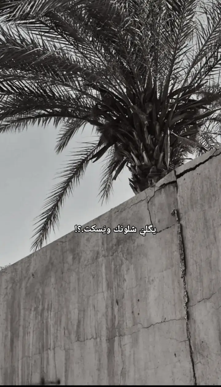 #العتب مثل العمر من يكثر يموت .#عبارتكم؟#شعراء_العرب  #بيت_شعر #اقتباسات #شعراء_وذواقين_الشعر_الشعبي #عبارتكم؟ #مشاعر #اكتئاب #حزن #😆💔 #الشاعر_مهيمن_الأمين #الشاعر_اياد_عبدالله_الاسدي #شعراء_العرب #لايكاتكم #تعبتتتتتتتتتتتتتتتتتتتتتتتتتتتتتت💔 #ابداعي 