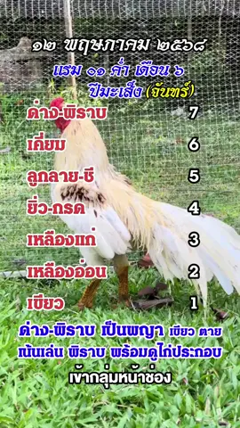 ตำราดี สีไก่ ด่าง-พิราบ เป็นพญา 12-05🐓 #ตำราสีไก่ #สีไก่ #ไก่ใต้ไก่เดือย🐓💯  #อนุรักษ์ไก่ใต้🐓  #ไก่ใต้  #ไก่เดือย  #สีไก่วันนี้ #ไก่เดือยภาคใต้ #ราชาไก่เดือย 