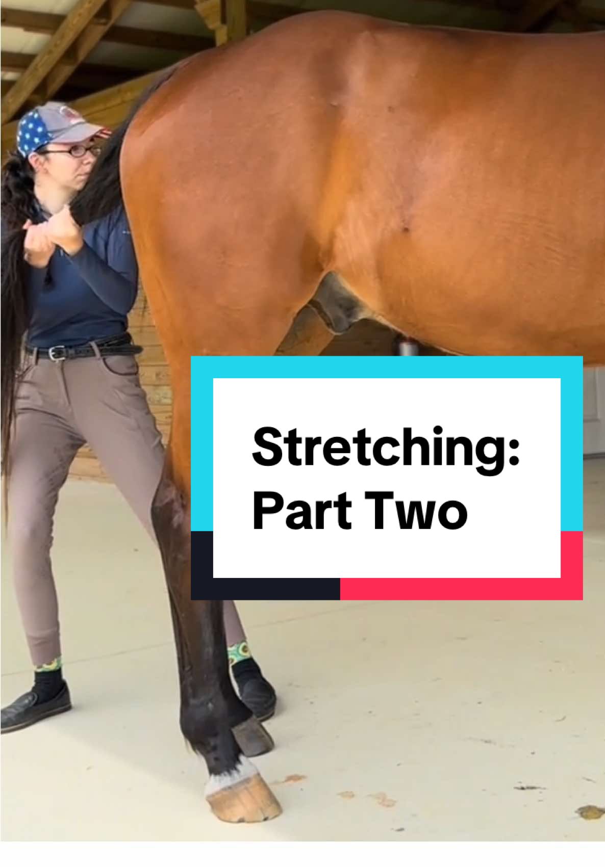 Every equestrian, no matter the discipline, benefits from understanding their horse’s body! #creatorsearchinsights 		#HorseStretching #EquineCare #HorseTrainingTips #StretchYourHorse #HorseHealth #EquestrianLife #HorseLovers #EquestrianTips #HorseRoutine #DailyHorseCare #equestriandayinthelife 