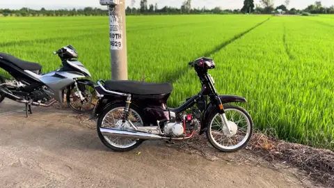 cánh đồng quay xe chill còn gì bằng 🛵#xuhuongtiktok #dream #xekiengvietnam🇻🇳 