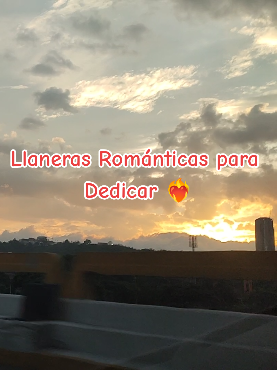 El Cardenal Sabanero 🪇 Reinaldo Armas 🎶 Morichal Amigo 🇻🇪 Es que tengo que partir y si es de morir, por ella muero 🎶 #viral_video #videosparaestados #videosparadedicar #llanerasvenezolanas #reinaldoarmasoficial 