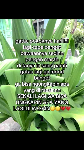 #fypp #foryoupage #kata 