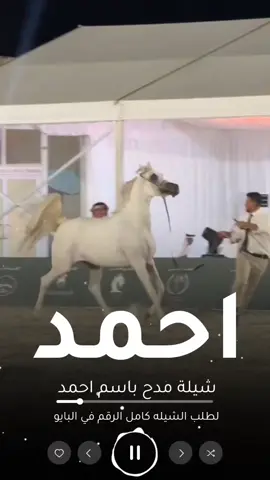 شيلة مدح باسم أحمد جديد _ لطلب 0541846907#لطلب_الشيلات_0541846907  #شيلات#زواج#شيلات#تخرج#شيلات#موليد#شيلات#ترحيب#شيلات#لحن#مجرور#شيلات#عرضه-جنوبيه#شيلات#دحه#شماليه#شيلات#عروس#شيلات#ام#العروس#شيلات#ام#العريس#ترحيب#باضيوف#زفات#بلاسماء#سحب#حقوق#زفات#بدون# اسماء #عروس-عريس-زواج #شيبة-رقص-عريس-حماسيه #شيلةمدح #شيلات-زوج #تنفيذ-جديده #شيلات-ام-العريس #شيلات-ام-العروسه #شلات-تخرج- #شيلات-تخرج-عسكري- #شيلات-تقاعد #شيلات-مدح #شيلة-توضيف #شيلات-شفاءوسلامه #شيلات-فهد-العيباني #شيلات-مهنا-العتبي  #شيلات-فهد-بن-فصلان- #شيلات-جفران-بن-هضبان- #رقص-عروسه#تنفيذ-بلاسماء🎶🎶-شيلات-رقص-العروس-عروس-متعب-الخيال-مهنا-العتبي-حماسيه-رقص-للعروسه-شيلات-عريس-شيلات-تخرج-شيلات-ملكه-عقد-قران-شيلات-تقاعد-شيلات-تخرج-عسكريه-شيلات-سعد-محسن-شيلات-عبدالله-البرازي-شيلات-فهد-العيباني-2024 #شيلة#رقص#مهنا#صوت-متعب-الخيال-شيلات-رقص-عروس-شيلات-حماسيه-متعب-الخيال-شيلة-قومي-العبي-جديده-متعب-الخيال-حماسيه-شيلة-مدح-عروس#شيلات-عروس-حماسيه-شيلات_للعروس-مدح-حماسيه-شيلات-عروسه-جديده-شيلات-مدح-شيلات-زواج-شيلات-رقص-شيلات-عدعيد-الفطر-شيلات-عيد-الاضحي-شيلات-رمضان#شيلات_زواج_حماسيه_لايك_متابعه_اكسبلورر 