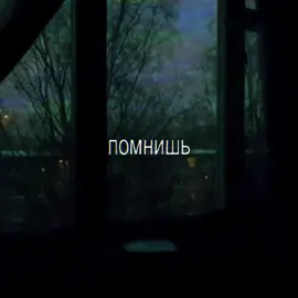 помнишь?? #щенки #песни #никакихтаблеток #щенкигруппа #врек #lirycs #song 