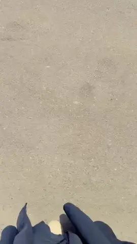 # محامية #  كربلاء# استئناف# تحقيق#