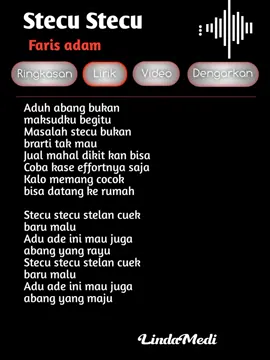 Stecu stecu  #lyrics #liriklagu #musikviral #masukberanda #🔥 #stecustecu 