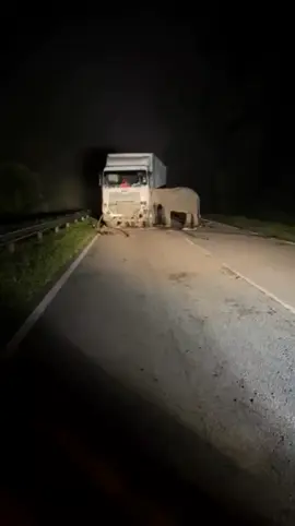 Tak perlu ungkapan