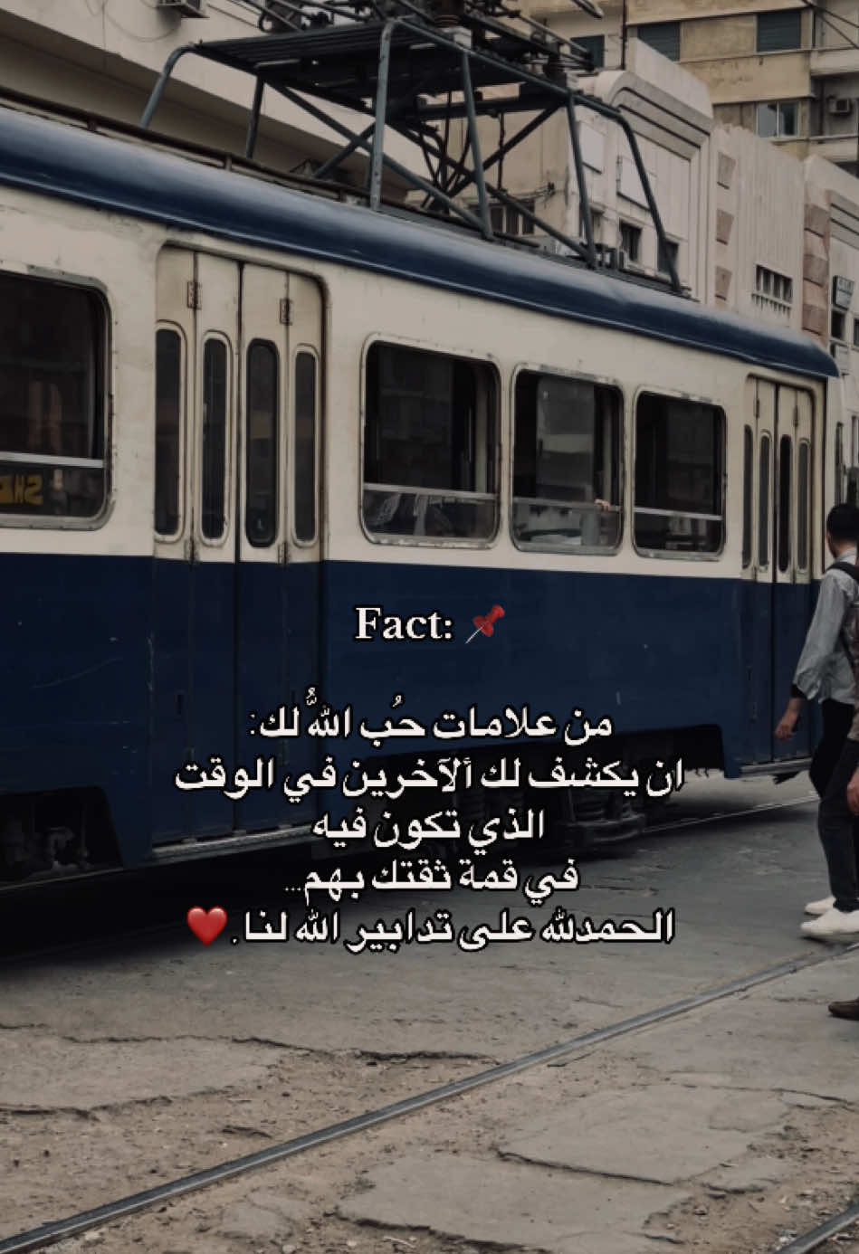 Fact 📌 #fyp #fypシ゚ #foryou #fypp  #explore #alexandria #pov  #اكسبلور #حالات_واتس #اسكندريه  #عبارات #الصحاب #ترندات_تيك_توك  #السعودية #حالات #مصر #ترندات  #الشعب_الصيني_ماله_حل😂😂 