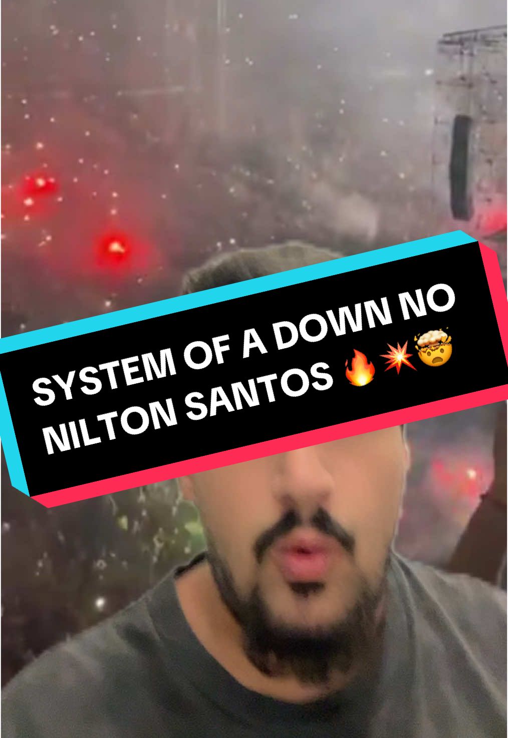 #tiktokesportes #systemofadown #niltonsantos #botafogo 