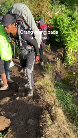 Mau heran tapi gunung gede #pendaki #fyp #pendakigunung #pendakiindonesia #gedepangrango 