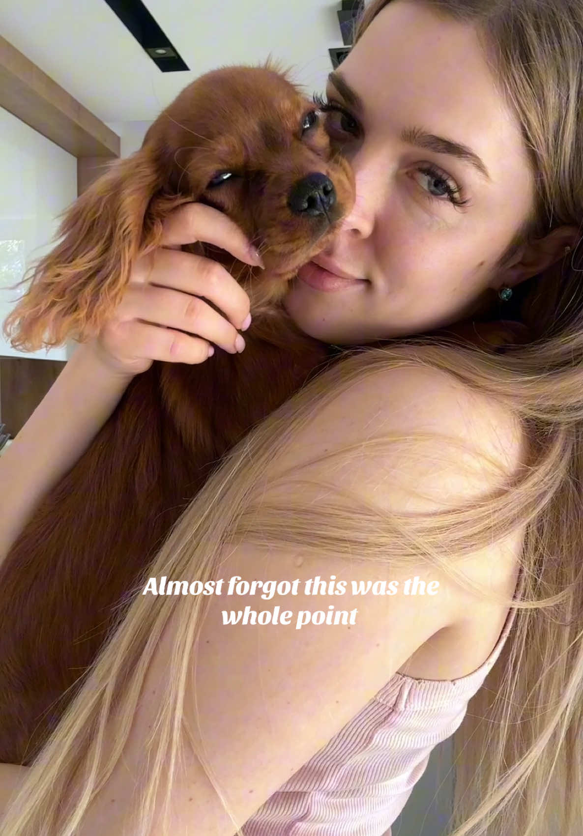 I was waiting for this moments for last 5 years. Her name is Lady and I love her unconditionally 💖 #dog #doglovers #kingcharlescavalier #cavalier #asmrdog #asmr 