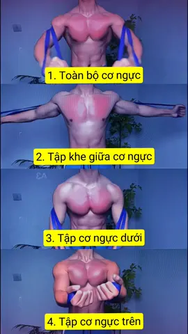 Bài tập với dây kháng lực nhé! #daykhangluc #daykhangluctapgym #baitapdaykhangluc #dungcutapgym #tapgym #tapgymtainha #tapgymdungcach #dungcutapgym #trending #xuhuong 