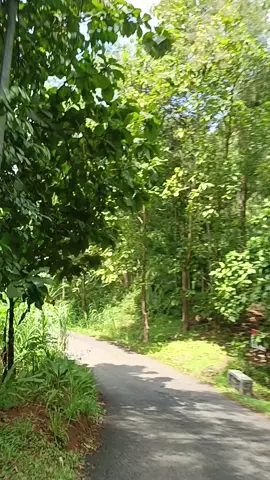 #wisatakebumen #kebumenkeren #kebumen24jam 