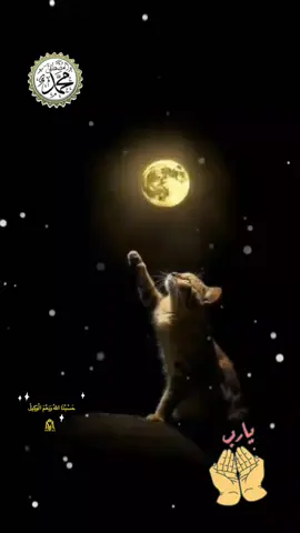 #assalamualaikum #kumpulandoa #bismilah #doa #aamiin #🤲🤲🤲 #kunfayakun #sholawat 