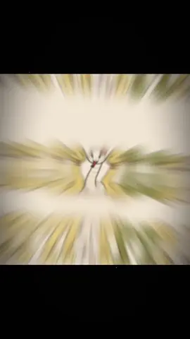 5 con rắn chúa 🐍