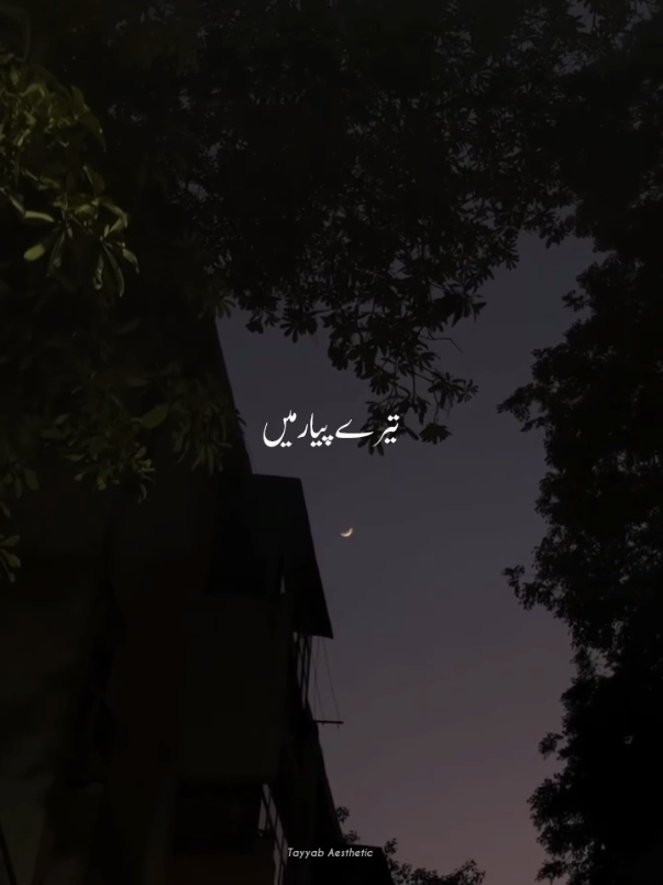 Tera Kasoor 🙂💔 || Repost Request || #deartiktokteamdontunderviewmyvideos #deartiktokteamunfreezmyaccoun #deartiktokteamviewsproblem #aesthetic #tayyabaesthetic #editing #lyrics #song #terakasoor #vishalmishra #grow #views #foryoupagе 