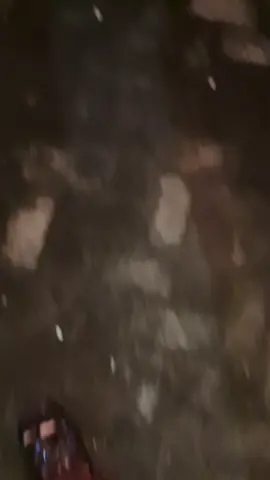 له الفا تح kh dimyati rois dan gus alamudin dimyati rois 🥀 #gusalamudinrois #khdimyatirois #ppalfadluwalfadhilah #kaliwungukendal #ziarah 