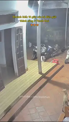 Khoảnh khắc 18 giây cứu hộ điện giật ở Thanh Hoá 😍 #tintuc #xahoi #viectot #khoanhkhac #thanhhoa #mayman #plxhvn #phapluatxahoi