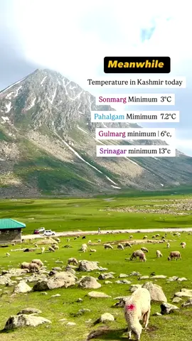 Subscribe me on YouTube link in description🚩🍁#sirinagar #fyp #kashmir #unfreezemyacount #indian #occupied 
