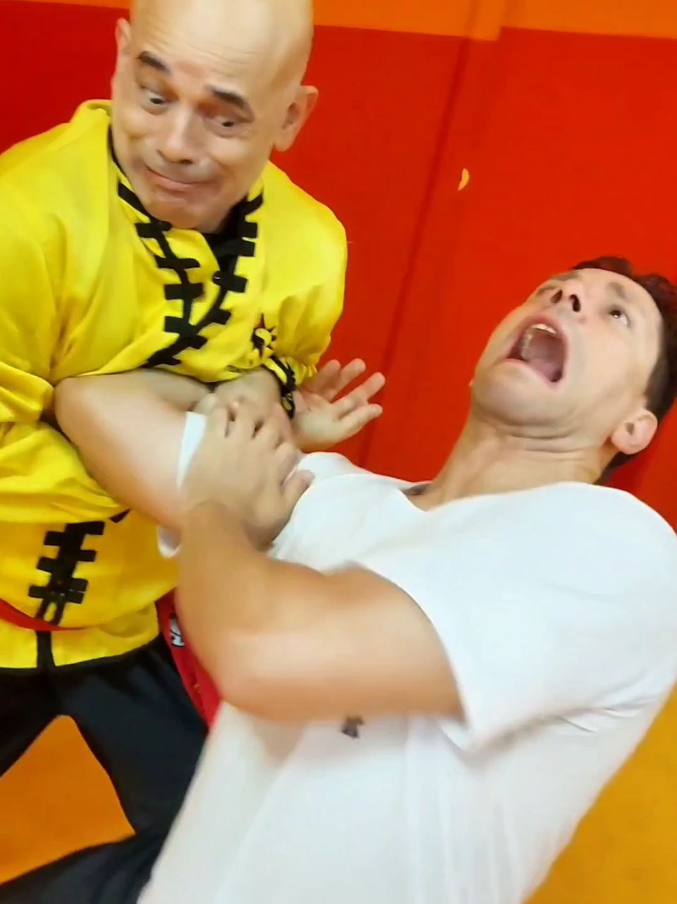 #tskf #kungfu #wushu #artemarcial #artesmarciais #defesapessoal #shaolin #chikung