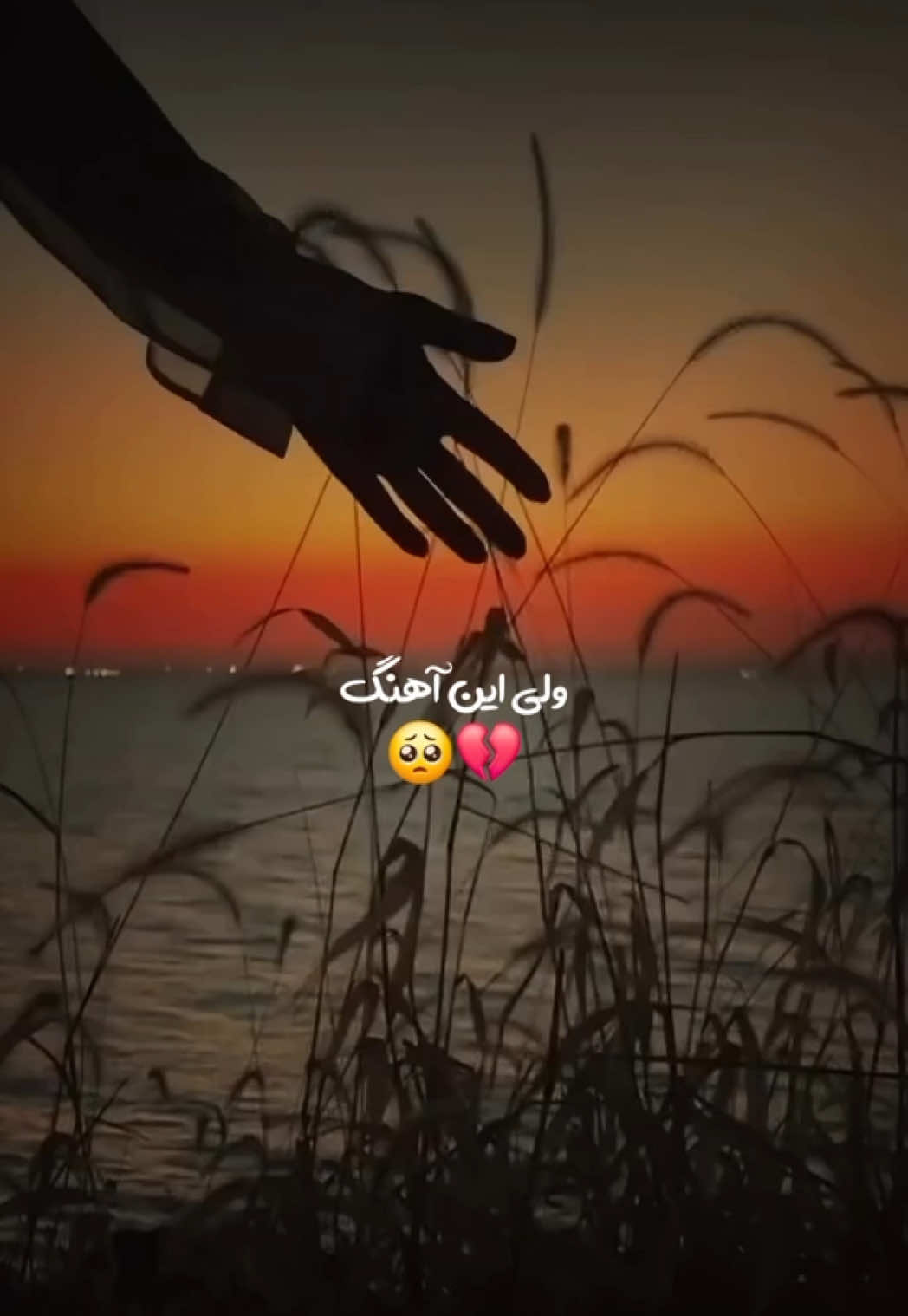 ོ🖤 <br>‌‌ <br>‌‌ <br>‌‌ <br>‌‌ <br>‌‌ <br>‌‌<br>‌‌ <br>‌‌<br>‌‌<br>‌‌<br>‌‌<br>‌‌<br>‌‌<br>‌‌<br>‌‌<br>‌‌<br>‌‌<br>‌‌ <br>‌‌ <br>‌‌<br>‌‌<br>‌‌<br>‌‌<br>‌‌<br>‌‌<br>‌‌<br>‌‌<br>‌‌<br>‌‌<br>‌‌<br>‌‌<br>‌‌<br>‌‌<br>‌‌<br>‌‌<br>‌‌ <h id=
