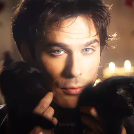 #damonsalvatore || I'm The Cat Believe It Or Not... - Best Tvd Merch Link In My Bio Use Code 'Axronez