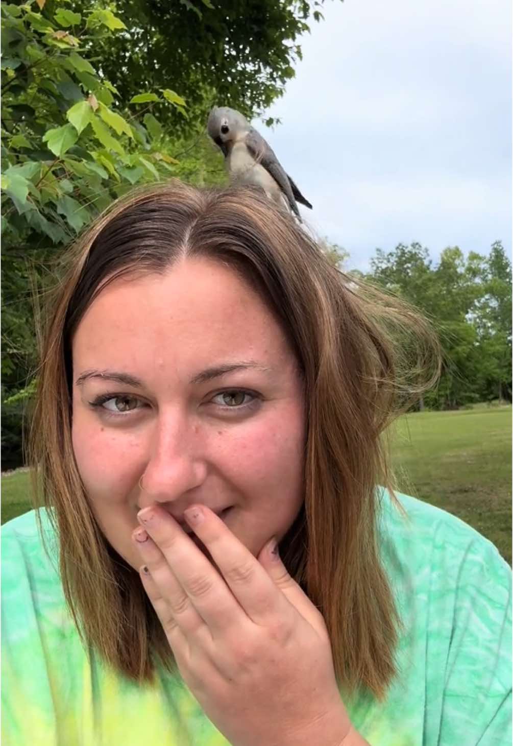 Well this is a first 😧😂 #birdsoftiktok #nature #animals 