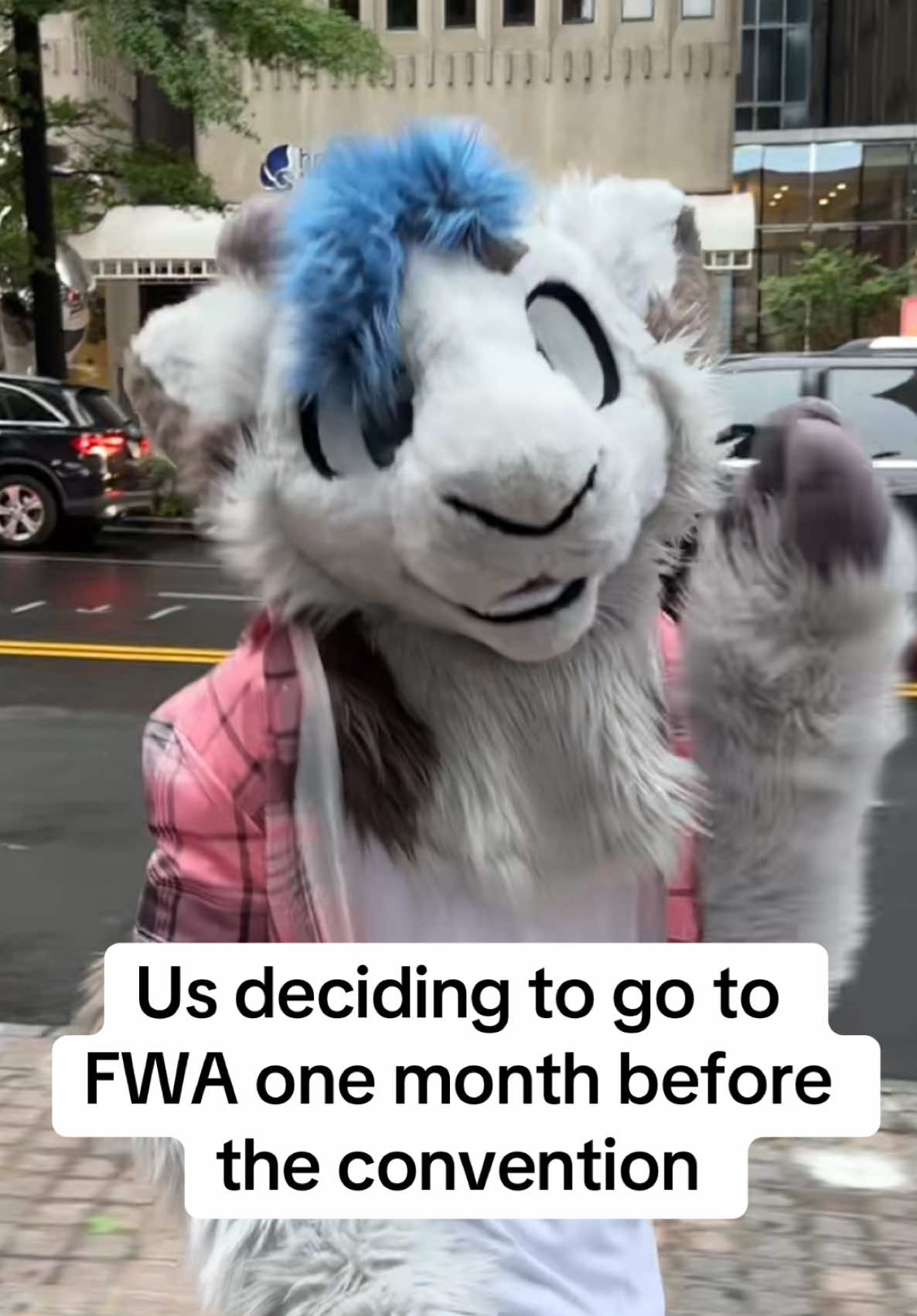 FWA has been so fun so far!! @Jerb  #furry #fursona #furryfandom #furrytiktok #fursuit #fursuiter #fwa #fwa2025 #furryweekendatlanta 