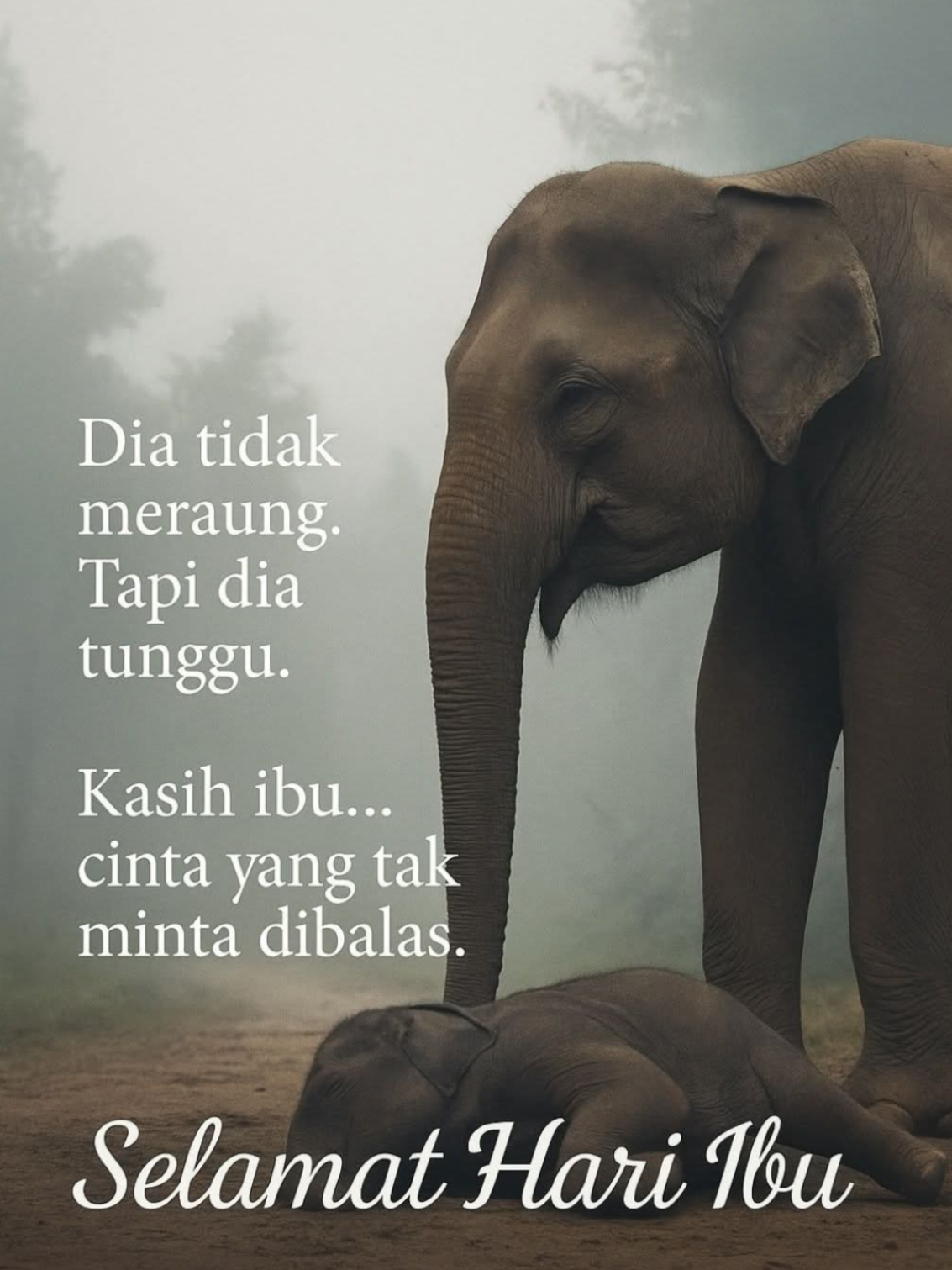 Tenanglah wahai anak gajah.. Bertabahlah wahai ibu gajah.. Kasih sayang ibu kepada anak.. #gajah #gajahgerikviraljeli #selamathariibu #ibugajah #anakgajahmati #sedih #fyp #fyppppppppppppppppppppppp 