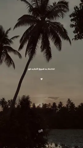 මට රිදෙන්න තව පාරක් මං දැවෙන්නම්! ❤️‍🩹 #yuki_quotes_ #foryoupage #foryou #fyp #1m #whatsappstatus #statusvideo #aesthetic #sinhalaquotes #tranding 