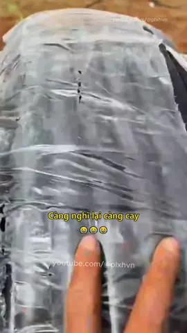 Càng nghĩ lại càng cay 😂 #haihuoc #vuive #vuinhon #giaitri #cuoisacsua #cuoimoingay #haha #funny #plxhvn #phapluatxahoi #cuoibebung