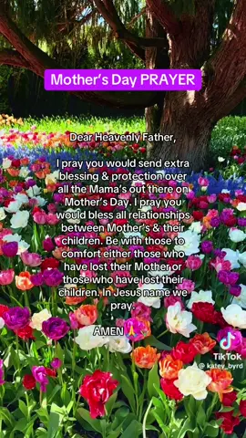 (Bloomed tulips 🌷) God bless your Mother’s Day 💐 PRAYER: trutherson. VIDEO: Katey_byrd #Jesus #Prayer #Christiantiktok #Prayers #spirituality #pray