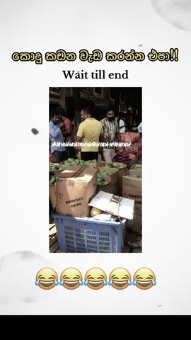 😂😂😂😂😂😂 #foryou #foryoupage #viralvideo #viraltiktok #fyp #fyppppppppppppppppppppppp #tiktok #trending #viral #viwes #fypp #1millionaudition #100kviews #trendingvideo #fffffffffffyyyyyyyyyyypppppppppppp #ff #1m 