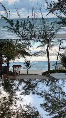 Biển Long Hải xinh lắm cả nhà ơi, vừa xanh vừa đẹp 🥰✨ #fyp #beach #longhai #viral #xh 