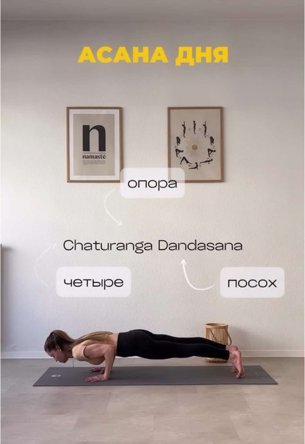 Чатуранга Дандасана — в переводе с санскрита означает «Поза четырёхконечной палки» (chatur — четыре, anga — конечность, danda — посох, asana — поза). Это ключевой элемент виньясы, который требует силы, выравнивания и полной концентрации. По легенде, поза символизирует устойчивость в сражении — как воин, опирающийся на четыре точки, готов к действию, но сохраняет внутреннюю тишину. Поначалу Чатуранга кажется просто «йоговскими отжиманиями», но с практикой становится мощной опорой для всего тела и ума. Сохрани, если тоже учишься опускаться без провисания! #чатуранга #йога #йогадляначинающих  Chaturanga Dandasana bedeutet auf Sanskrit: „Die Haltung des viergliedrigen Stocks“ (chatur – vier, anga – Glied, danda – Stock, asana – Haltung). Diese Pose ist ein zentraler Teil der Vinyasa-Praxis – kraftvoll, stabil und bewusst. Einer alten Legende nach steht sie für die Ruhe inmitten des Kampfes – wie ein Krieger, der auf vier Punkten ruht, bereit zum Handeln, aber innerlich ganz still. Anfangs wirkt Chaturanga wie ein einfacher Liegestütz – doch mit Übung wird sie zur Quelle von Kraft und Fokus. Speichere dir diesen Post, wenn du die Technik auch noch verfeinerst! #chaturanga #yoga #yogafüranfänger #kraftyoga 